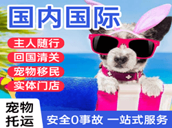 南洋航空邮寄国际宠物托运 【国